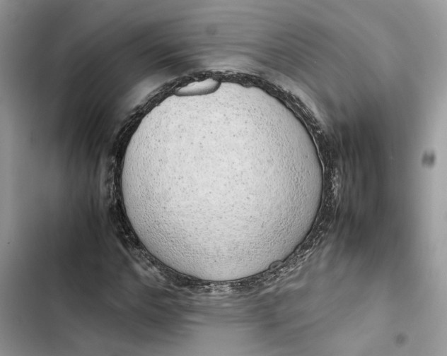 X0000103410968200810031242