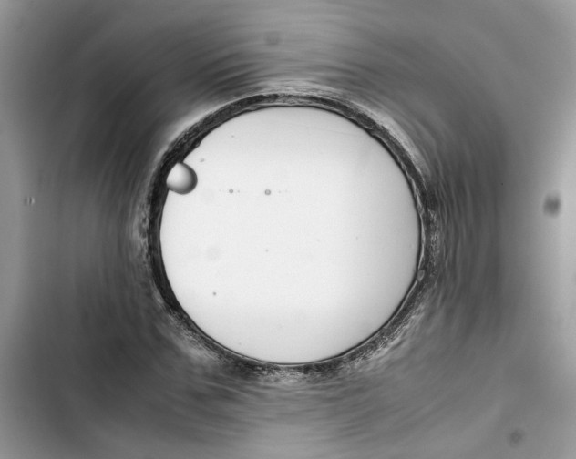 X0000103410971200810031242