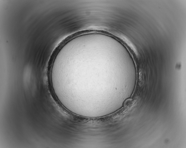 X0000103410972200810031242