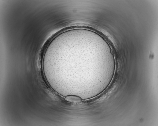 X0000103410973200810031242