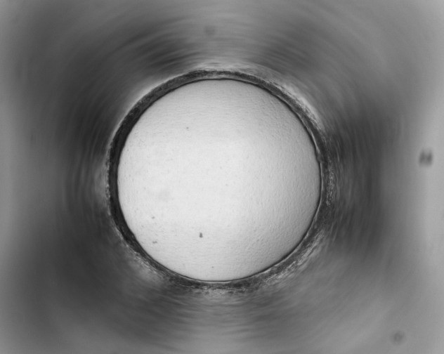 X0000103410976200810031242