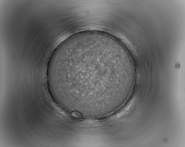 X0000103410977200810031242