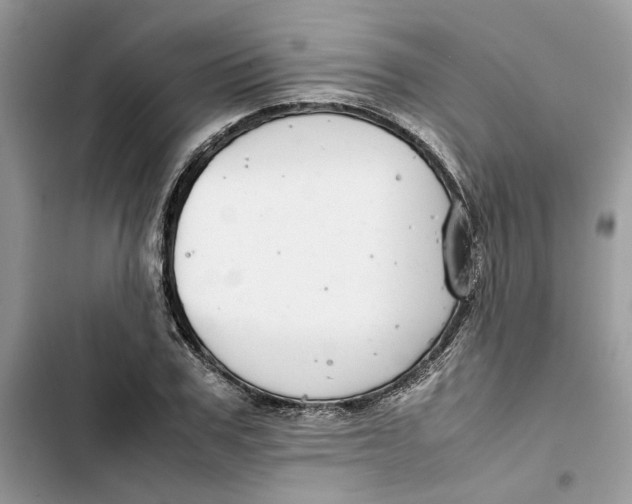 X0000103410979200810031242