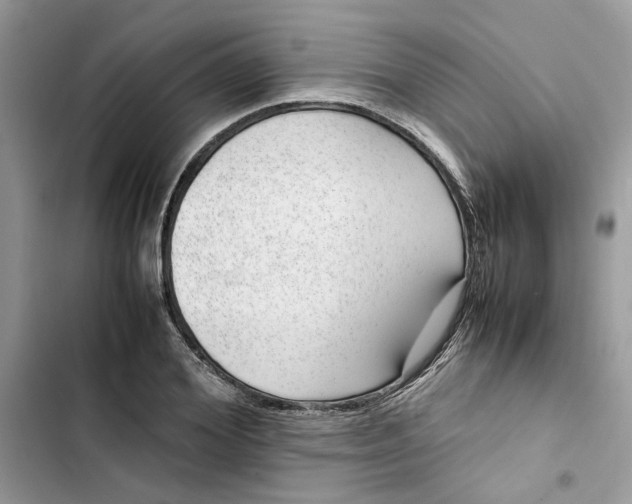 X0000103410980200810031242