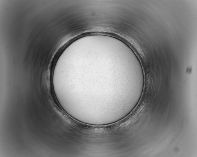 X0000103410982200810031242