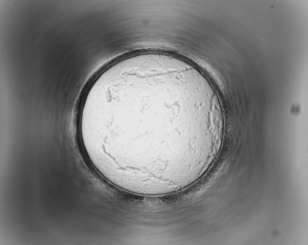 X0000103410983200810031242