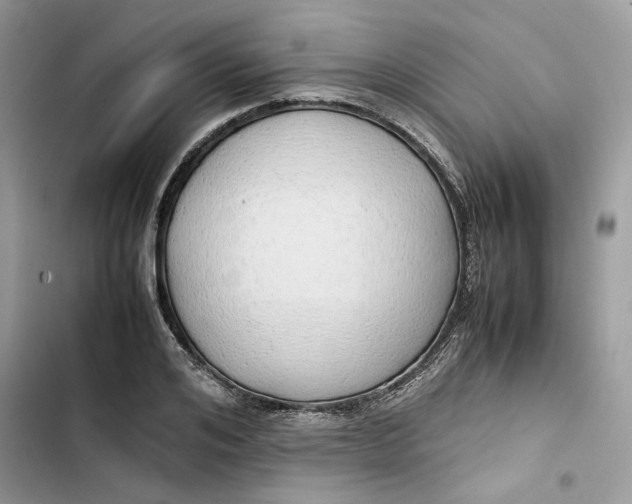 X0000103410984200810031242