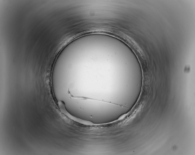 X0000103410985200810031242