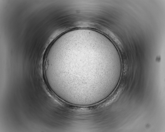 X0000103410986200810031242