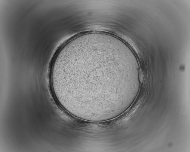 X0000103410987200810031242