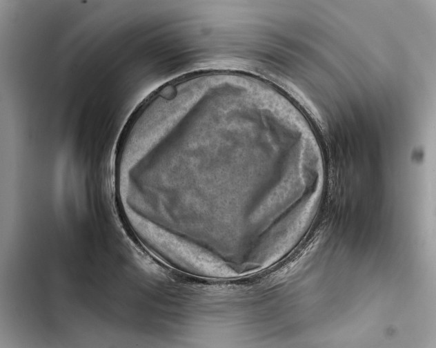 X0000103410988200810031242