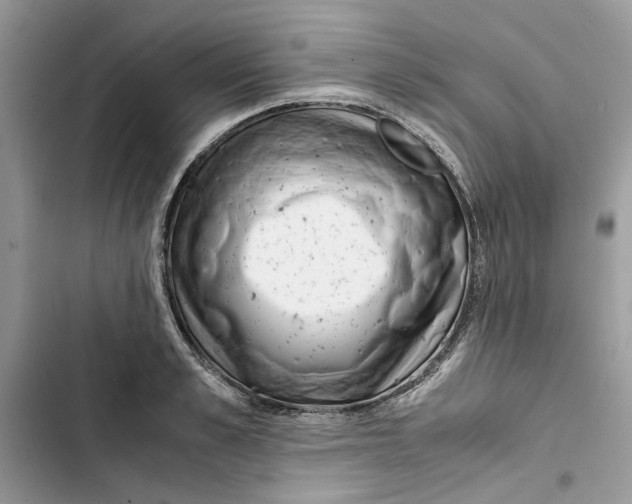 X0000103410989200810031242