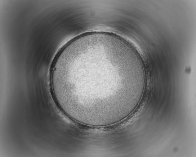 X0000103410990200810031242