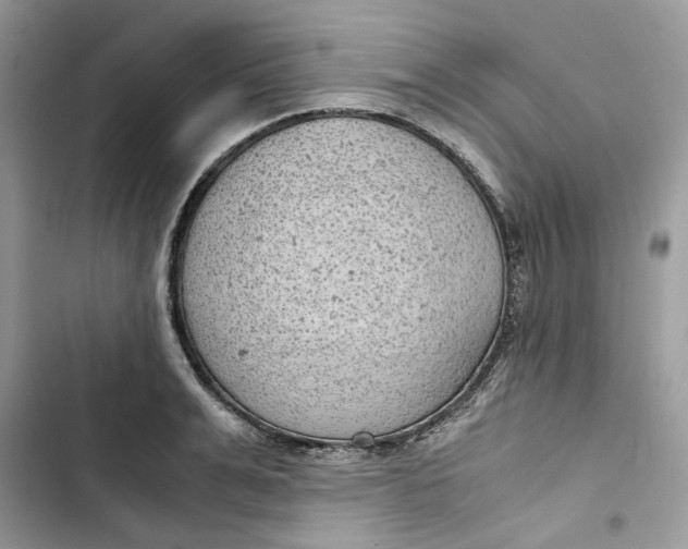 X0000103410991200810031242