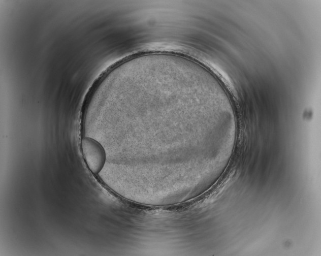 X0000103410992200810031242