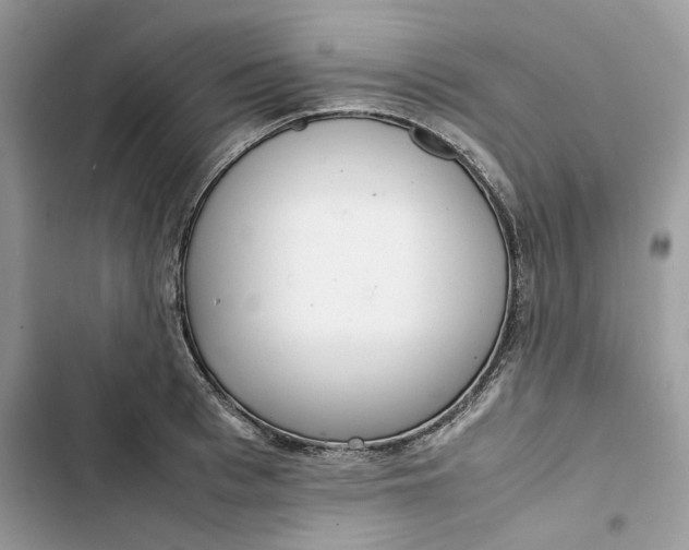 X0000103410993200810031242