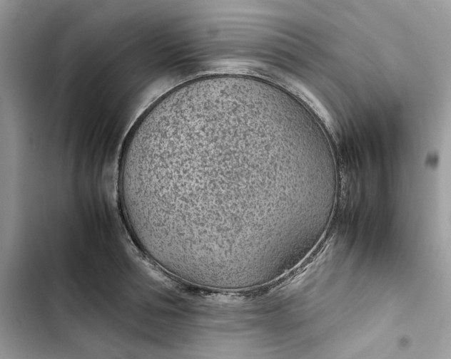 X0000103410994200810031242