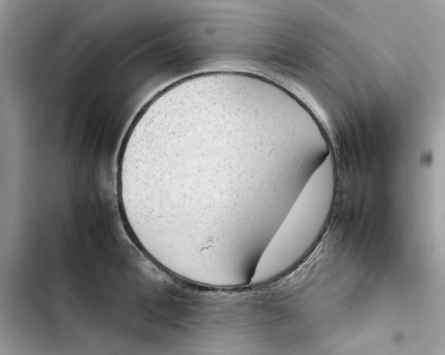 X0000103410996200810031242