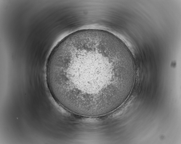 X0000103410998200810031242