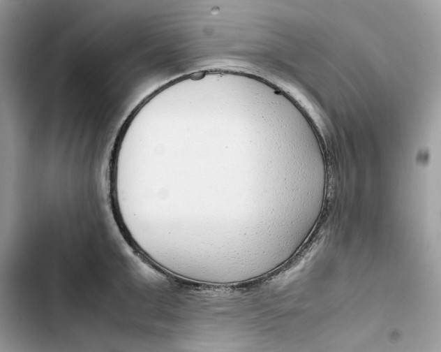 X0000103410999200810031242