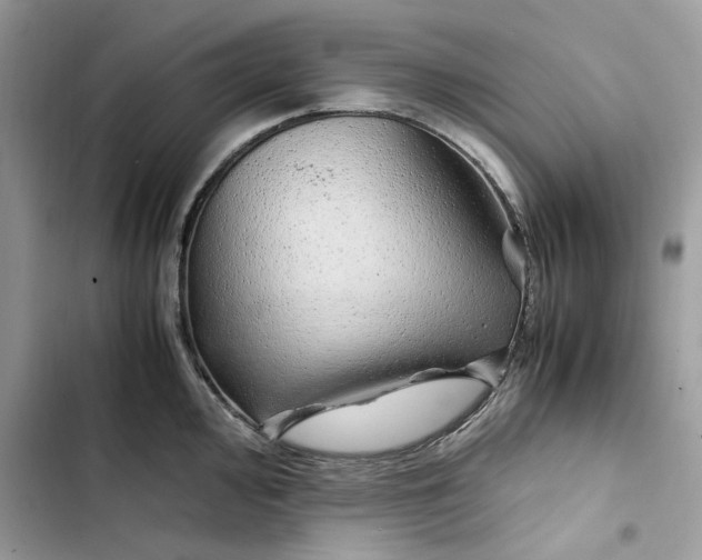 X0000103411000200810031242