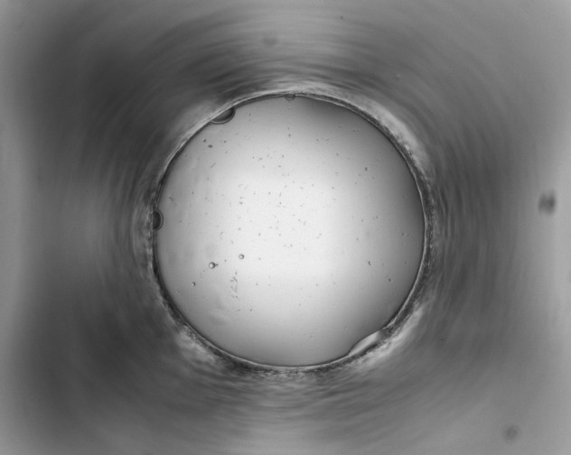 X0000103411001200810031242