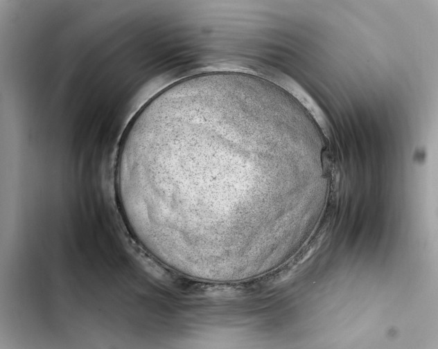 X0000103411002200810031242