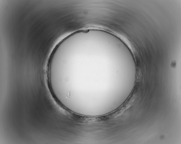 X0000103411003200810031242