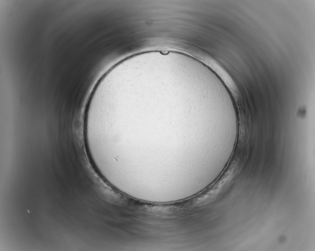 X0000103411004200810031242