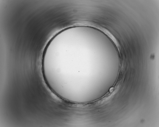 X0000103411005200810031242