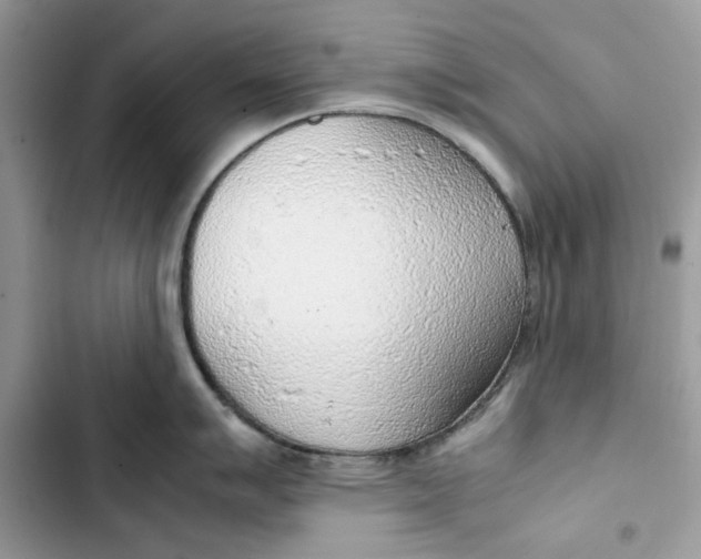 X0000103411007200810031242