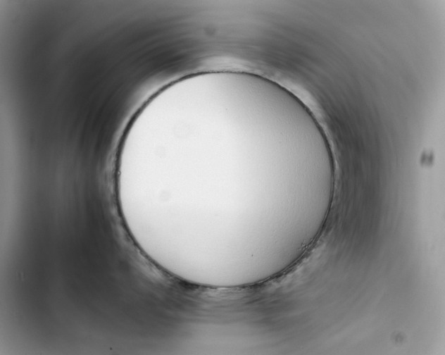 X0000103411008200810031242