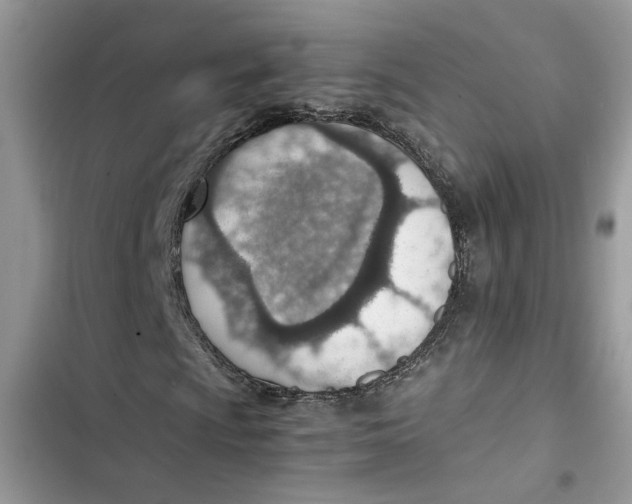 X0000103411009200810031241