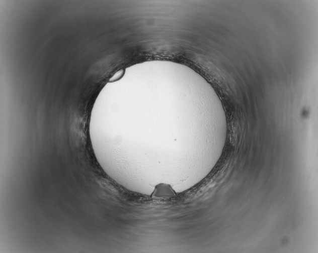 X0000103411010200810031241