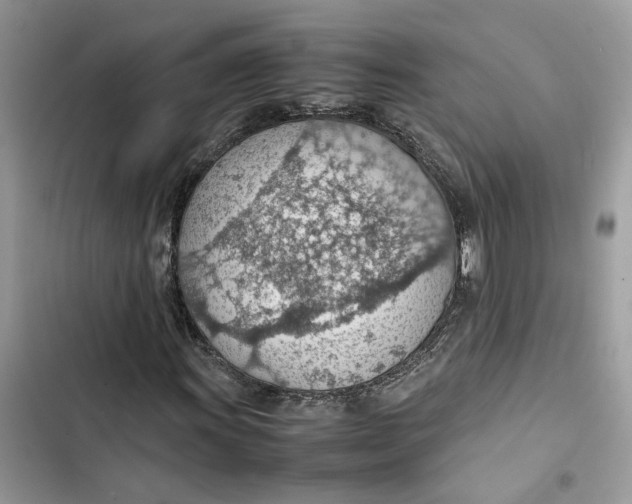 X0000103411011200810031241