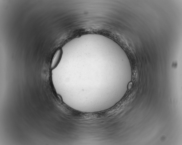 X0000103411012200810031241