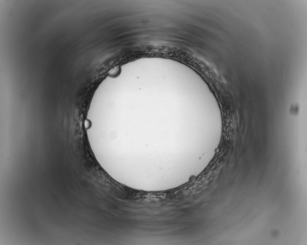 X0000103411013200810031241