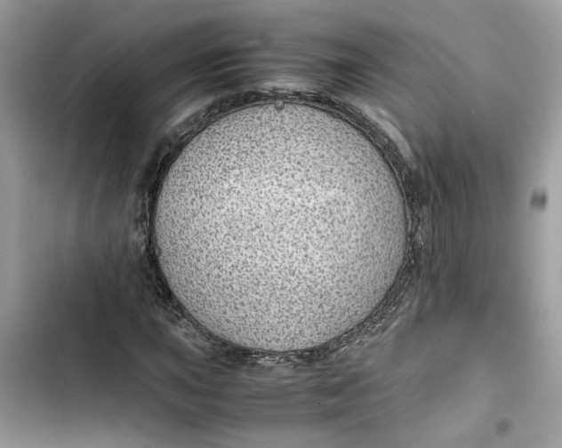 X0000103411015200810031241