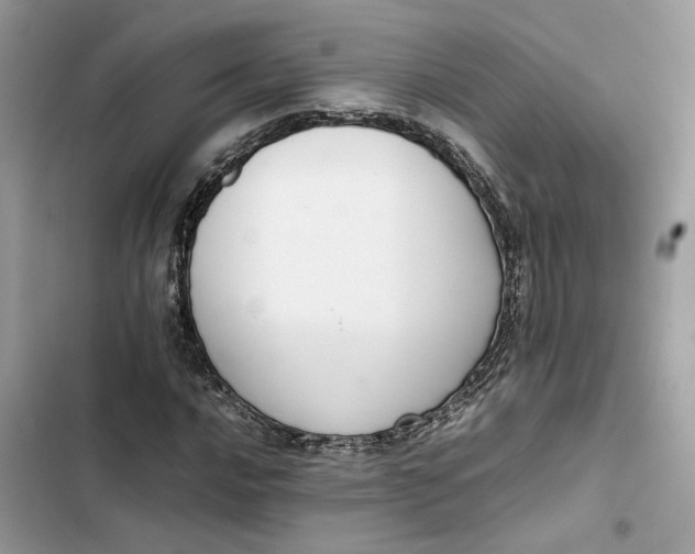 X0000103411016200810031241