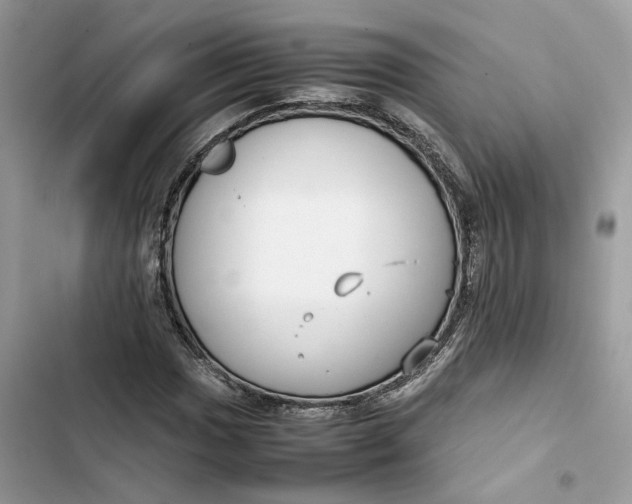 X0000103411017200810031241