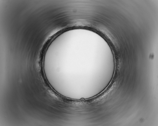 X0000103411018200810031241