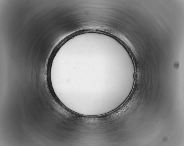 X0000103411020200810031241