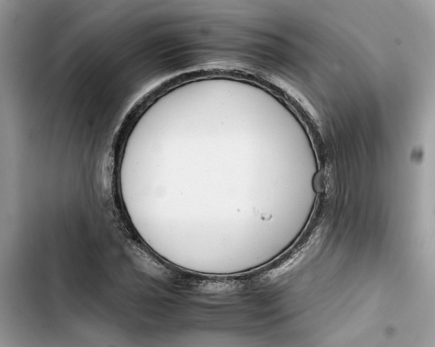 X0000103411021200810031241