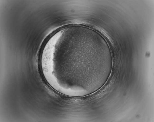 X0000103411024200810031241