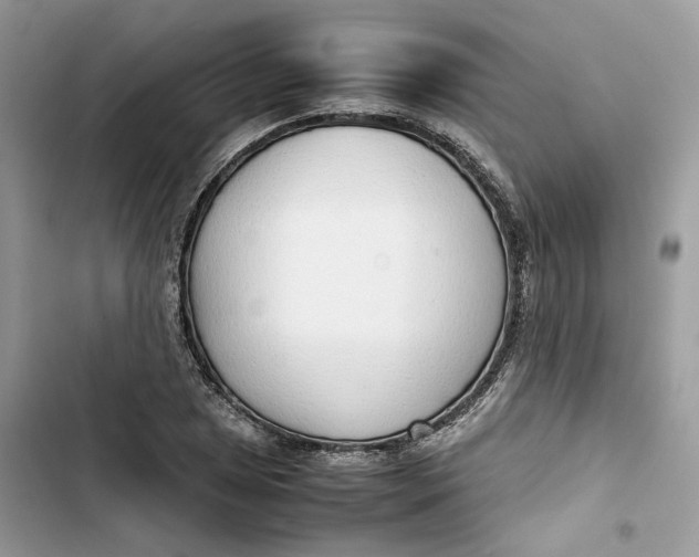 X0000103411025200810031241