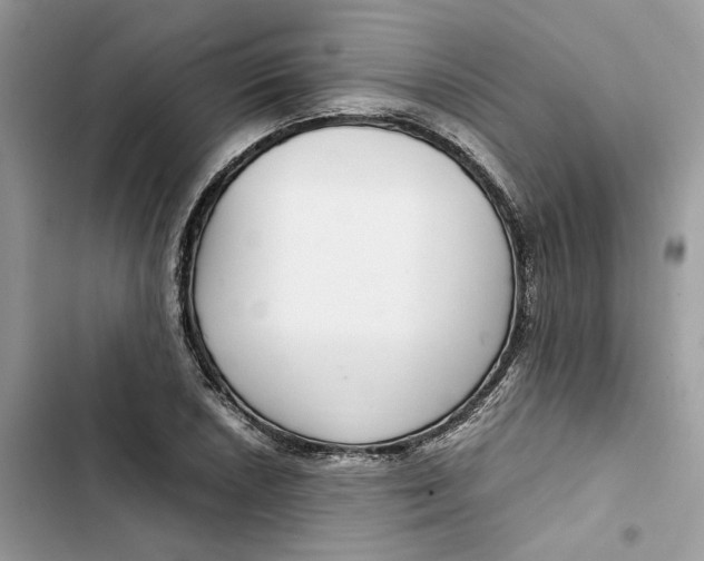 X0000103411026200810031241