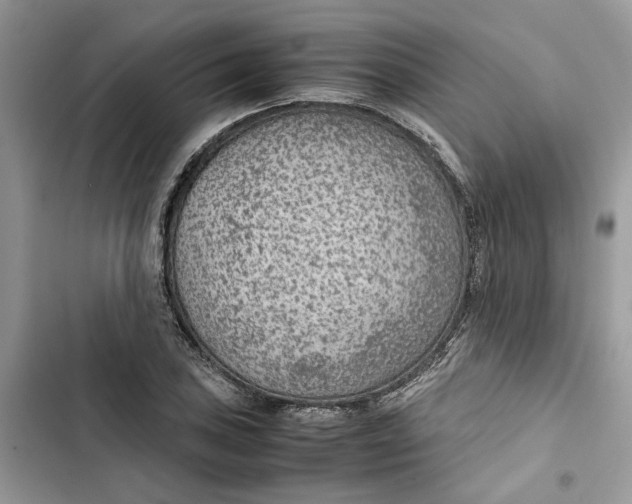 X0000103411027200810031241