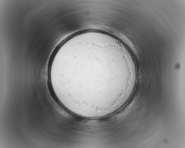 X0000103411028200810031241