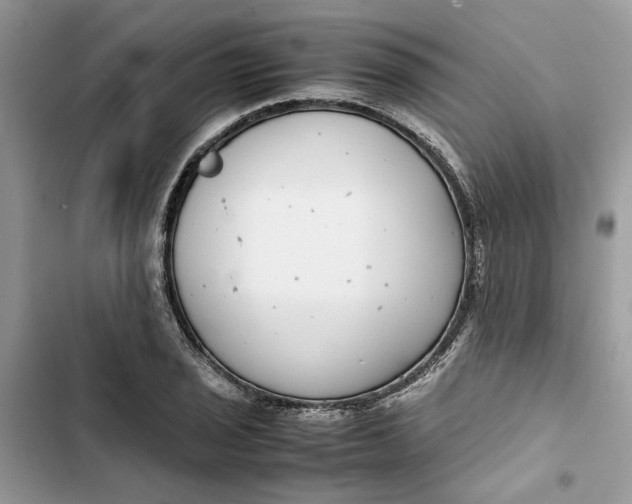 X0000103411029200810031241