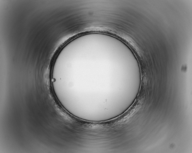 X0000103411030200810031241